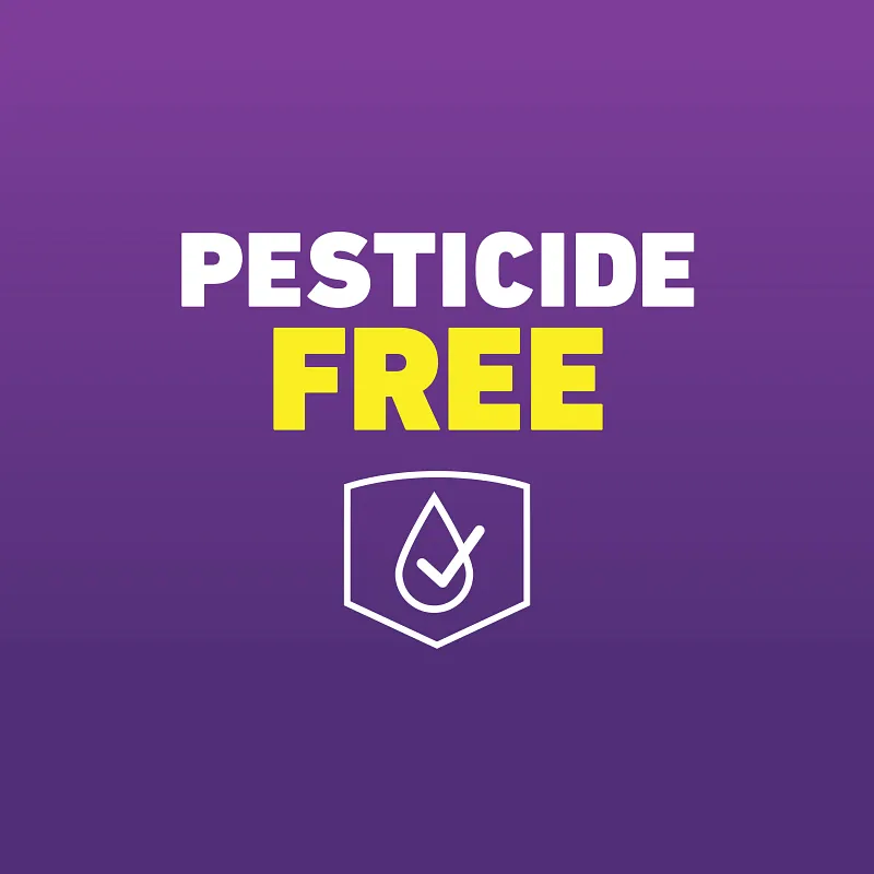 Ortho&reg; Home Defense&reg; MAX&reg; Bed Bug Trap image number 6.0