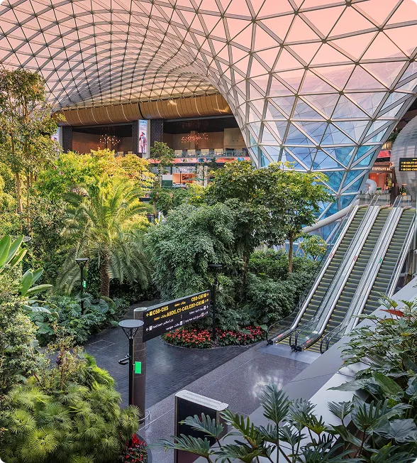 A wide, eye-level indoor view of a multi-story atrium with a massive glass and metal geometric dome roof, which has a warm pink tone. The center is filled with lush, abundant trees and tropical plants, with pathways and seating areas. On the right, two escalators ascend alongside the greenery. Various international shops and signage for "Tiffany & Co." and "C20 - C61" are visible, along with multiple levels of balconies.