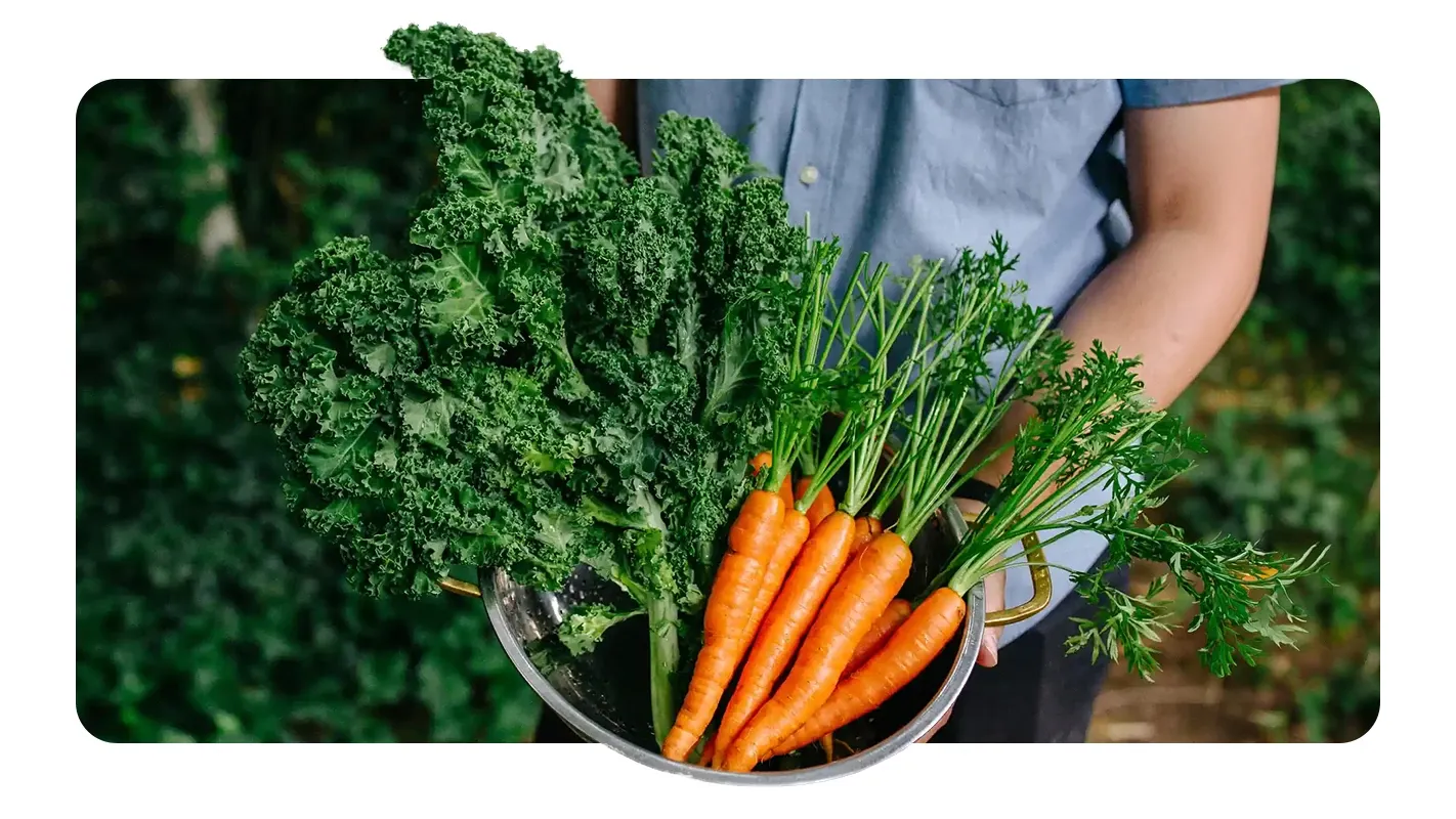 A gardener holding a bowl filled with fresh garden-harvested leafy kale and orange carrots outdoors.