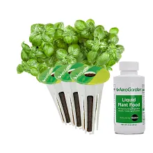 AeroGarden Pesto Basil Seed Pod Kit image number null