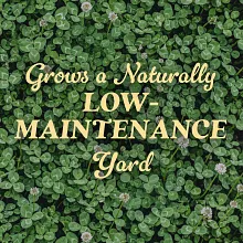 O.M. Scott & Sons White Clover Seed, 2 lb. image number null