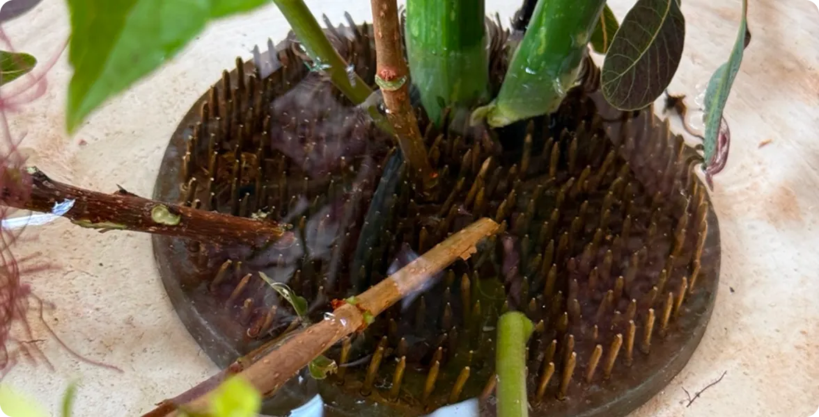 Close-up of plant stems arranged inside a metal kenzan flower frog filled with water inside a bowl, set beside article text titled 'Prioritize structure.'