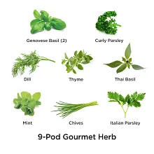 AeroGarden Gourmet Herbs Seed Pod Kit image number null