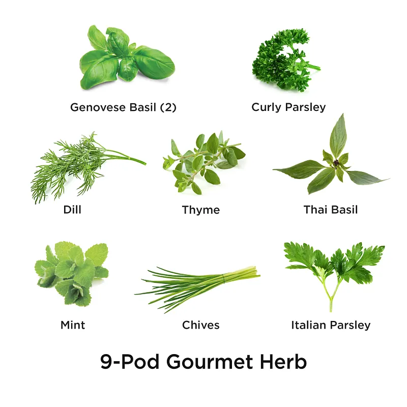 AeroGarden Gourmet Herbs Seed Pod Kit image number 2.0