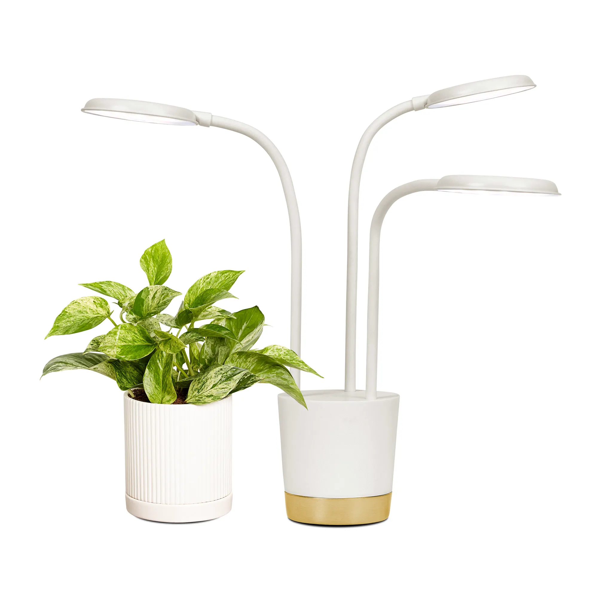 Trio Grow Light - Thumbnail 2