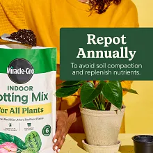 Indoor Potting Mix for All Plants image number null