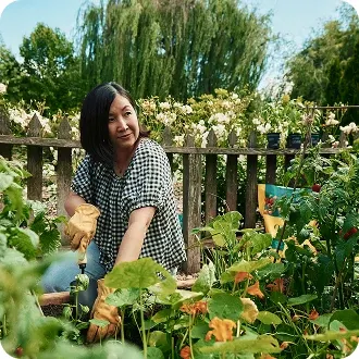 Outdoor Gardening