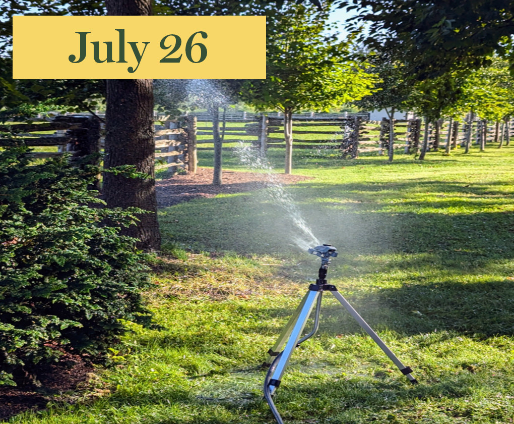 sprinkler watering garden