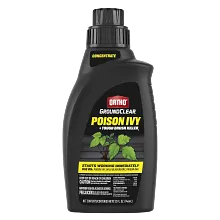 Ortho GroundClear Poison Ivy and Tough Brush Killer₂ Concentrate image number null
