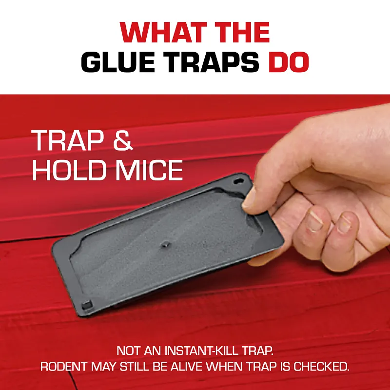 Tomcat Glue Traps Mouse Size with Eugenol for Enhanced Stickiness, 6 Traps image number 6.0