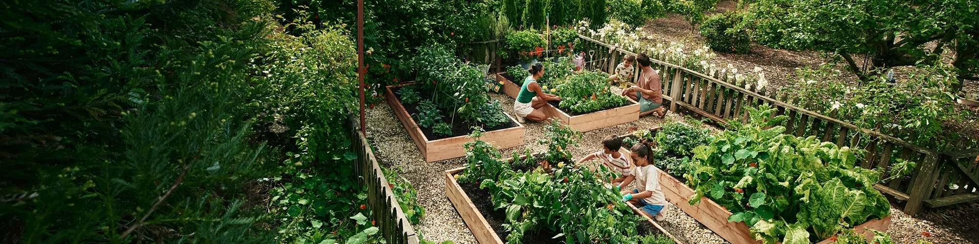 Family in a garden