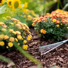 Nature Scapes&reg; Colour Enhanced Mulch - Deep Forest Brown image number null