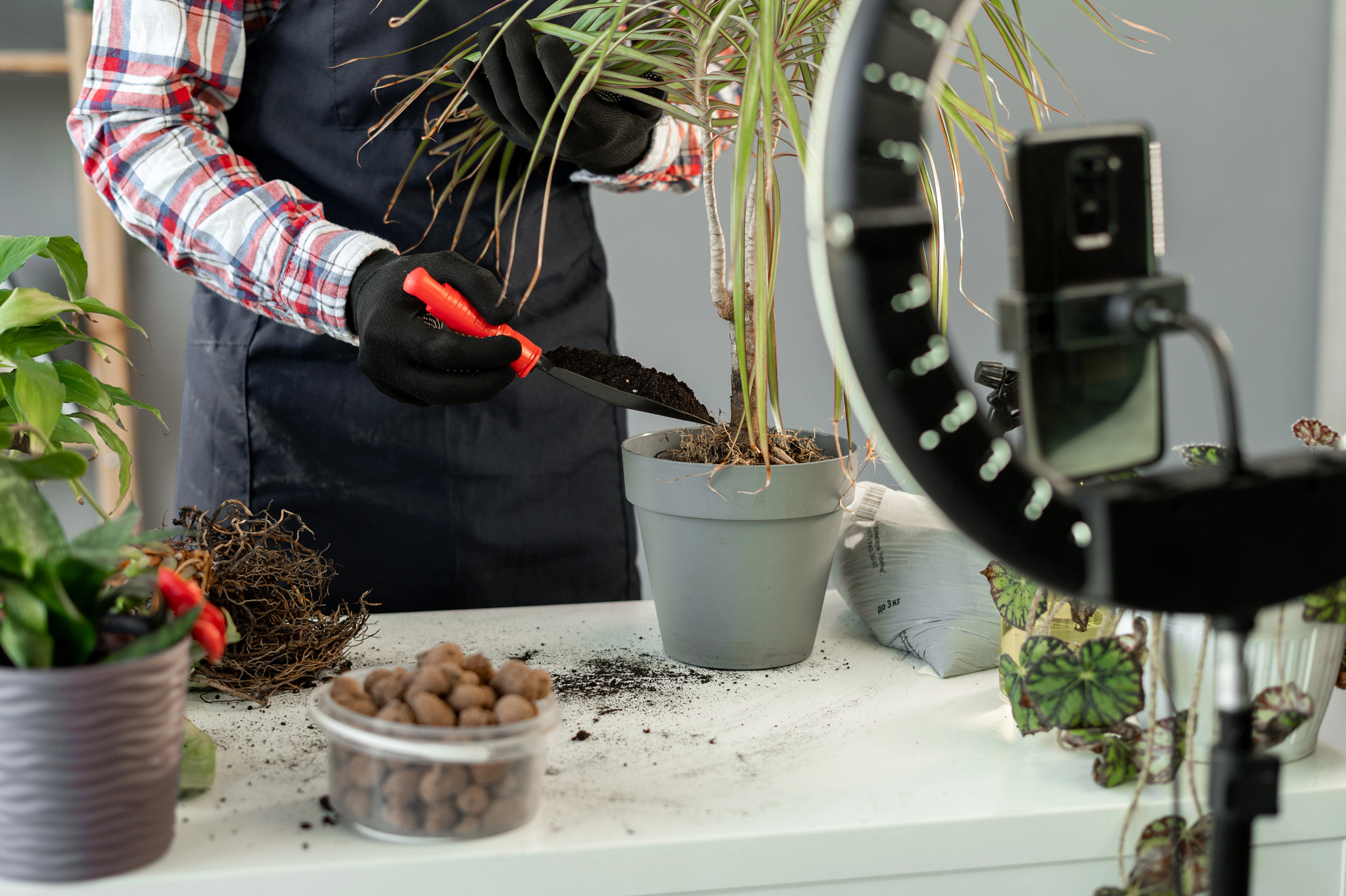 Social media gardener