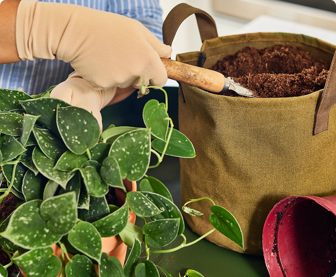 A close-up of a person using a hand trowel to scoop soil into a fabric grow bag next to lush green potted houseplants.