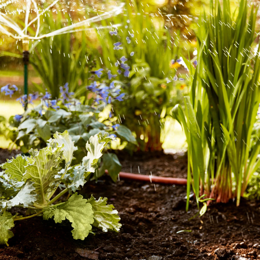 gif of plant food granules