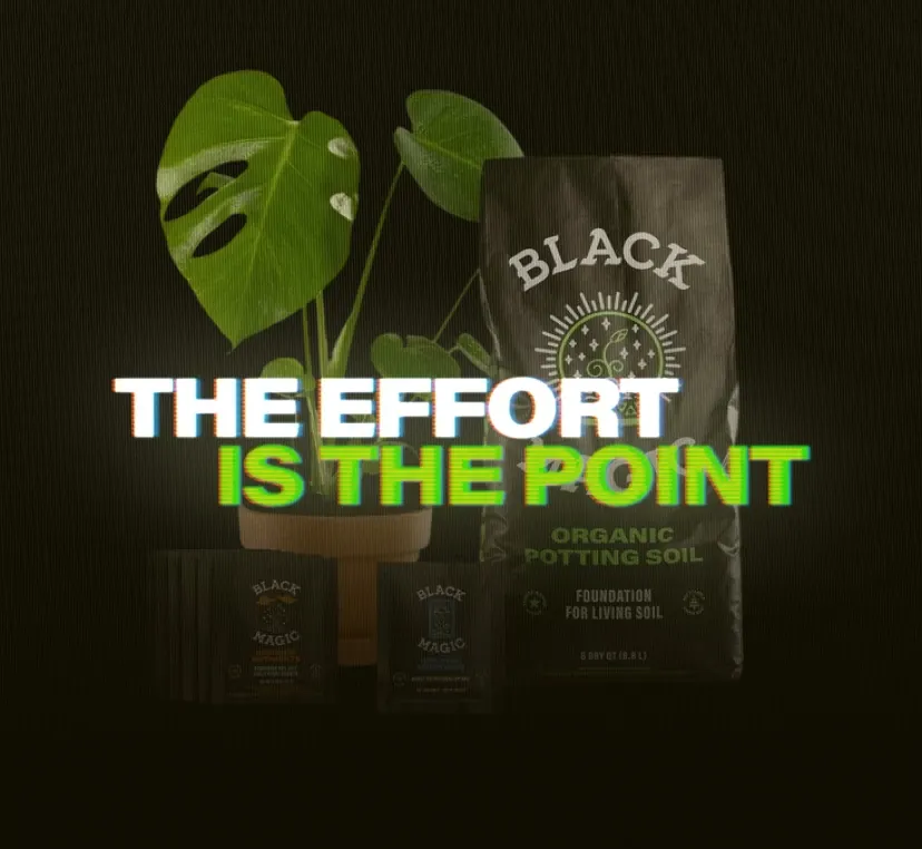 The effort is the point.