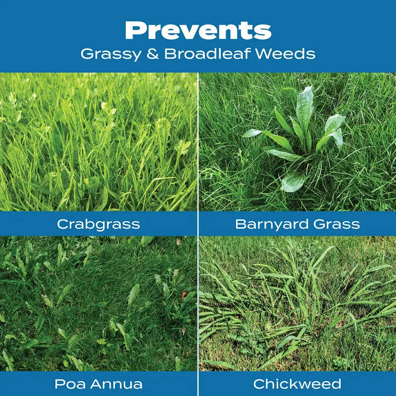 Scotts&reg; Turf Builder&reg; Halts&reg; Crabgrass Preventer with Lawn Food image number 3.0