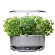 AeroGarden Gourmet Herbs Seed Pod Kit image number null