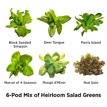 AeroGarden Heirloom Salad Greens Seed Pod Kit image number null