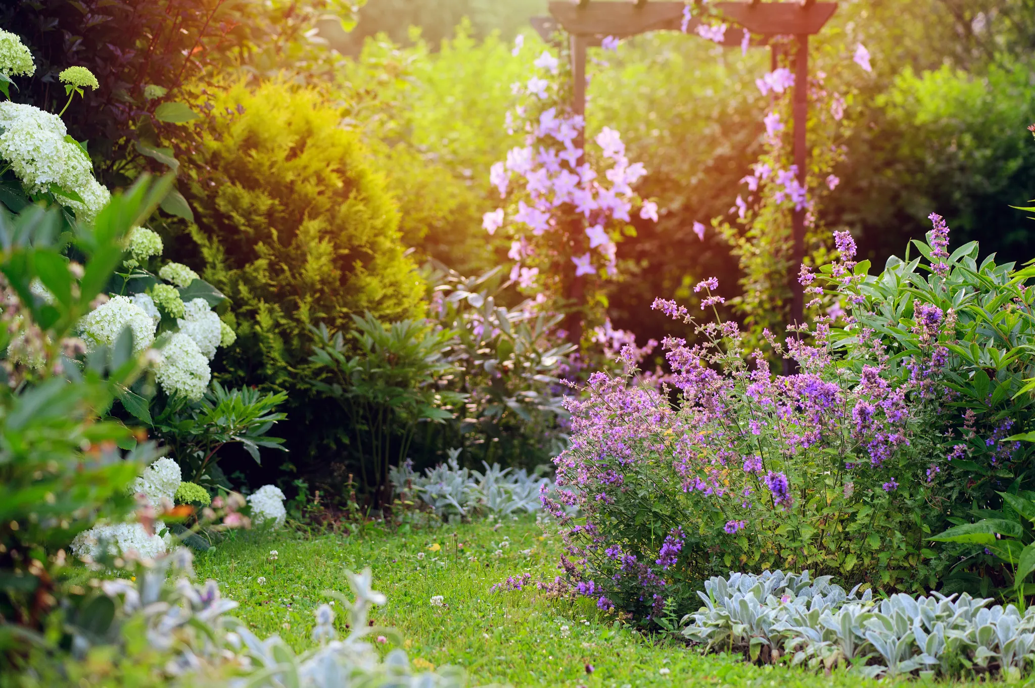 garden spring image