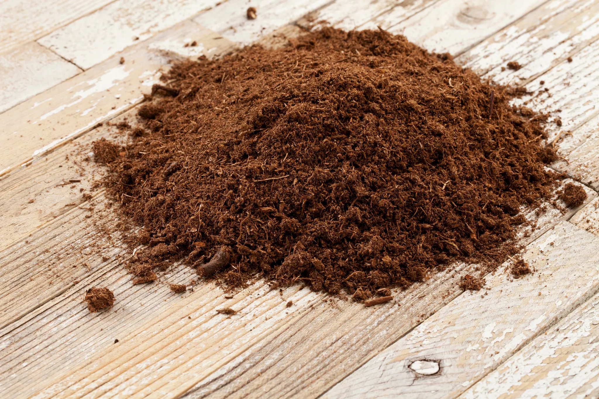 Canadian sphagnum peat moss used as soil conditioner in gardening, a small pile on a wooden surface