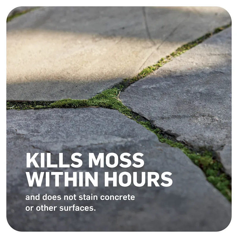 Scotts&reg; MossEx&trade; 3-in-1 Ready-Spray&reg; image number 3