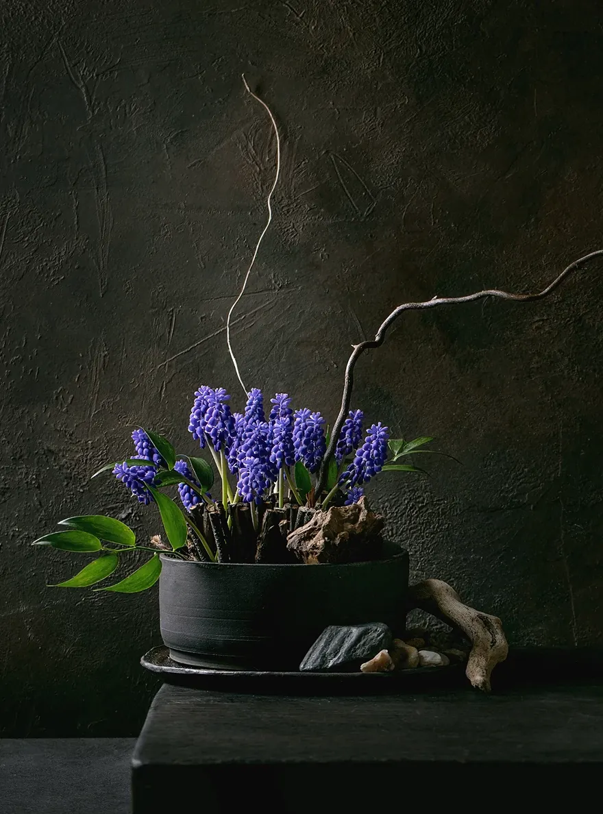 Purple grape hyacinth flower arrangement with rustic branches in a dark ceramic pot.