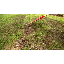 Scotts&reg; Turf Builder&reg; Quick + Thick&trade; Grass Seed Sun - Shade image number null