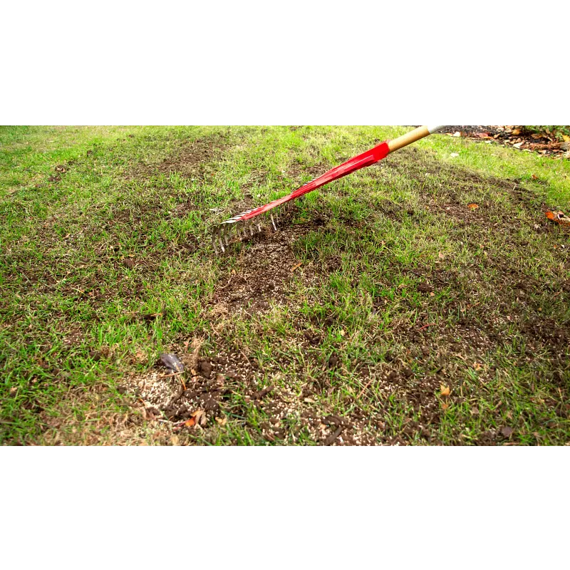 Scotts&reg; Turf Builder&reg; Quick + Thick&trade; Grass Seed Sun - Shade image number 7.0