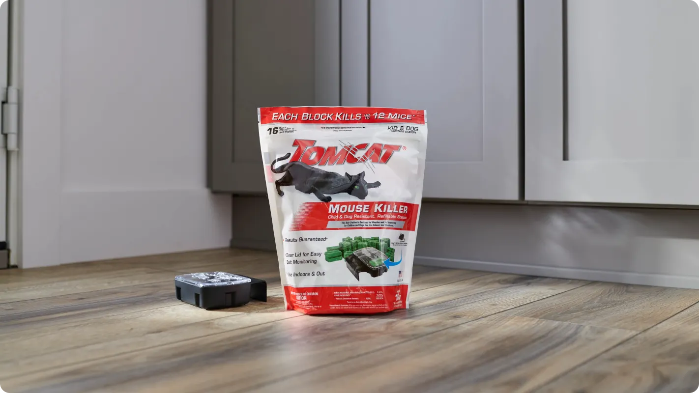 Tomcat dog resistant disposable bait station and bait sitting on a kitchen floor showing off the product package