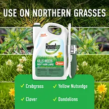 Roundup&reg; For Lawns₁ image number null