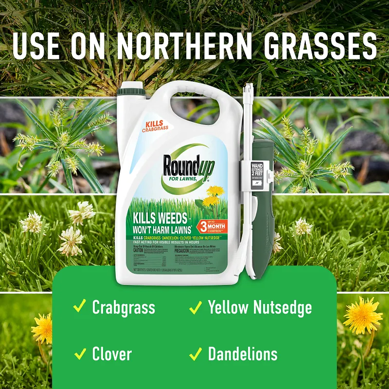 Roundup&reg; For Lawns₁ image number 4.0