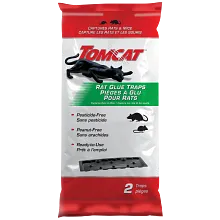 Pi&egrave;ges &agrave; glu pour rats Tomcat&reg; image number null