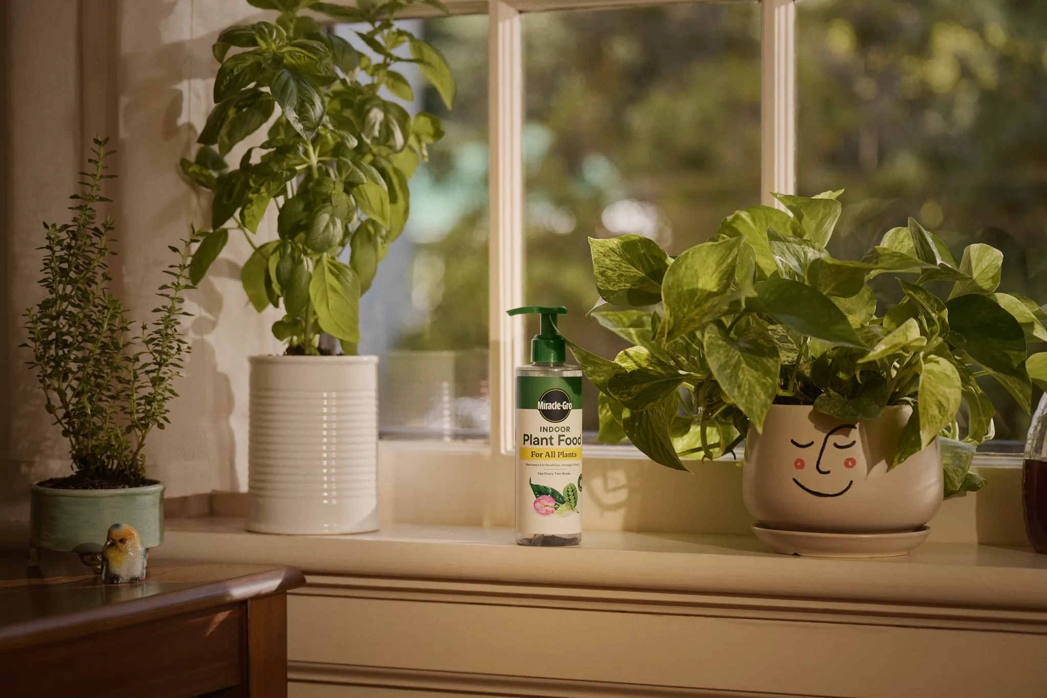 Shop by Plant