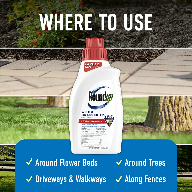 Roundup&reg; Weed & Grass Killer₄ Concentrate image number 3.0