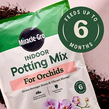 Miracle-Gro Indoor Potting Mix for Orchids image number null