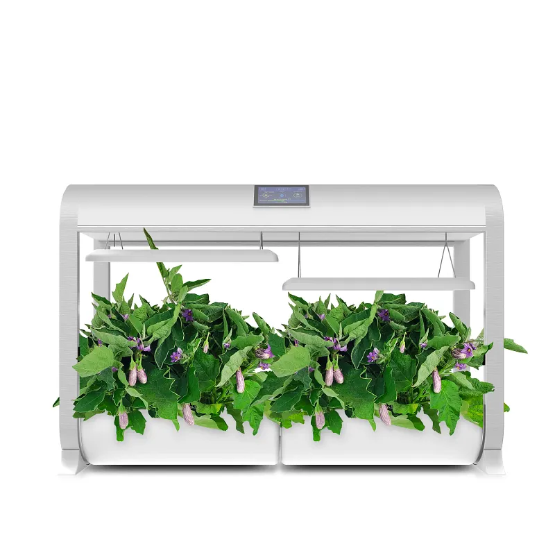 Fairy Tale Eggplant Seed Pod Kit image number 5.0