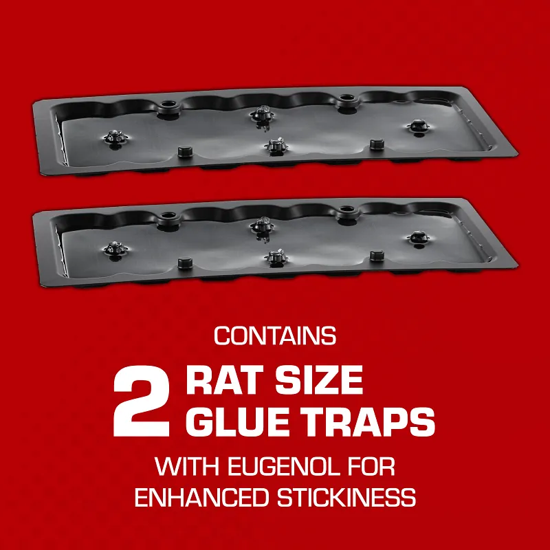 Tomcat&reg; Glue Traps Rat Size with Eugenol for Enhanced Stickiness Image 2
