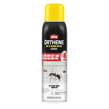 Ortho Orthene Ant & Roach Killer Aerosol image number null