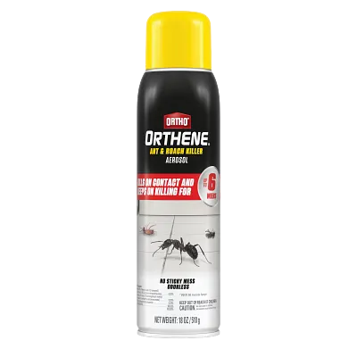 Ortho Orthene Ant & Roach Killer Aerosol