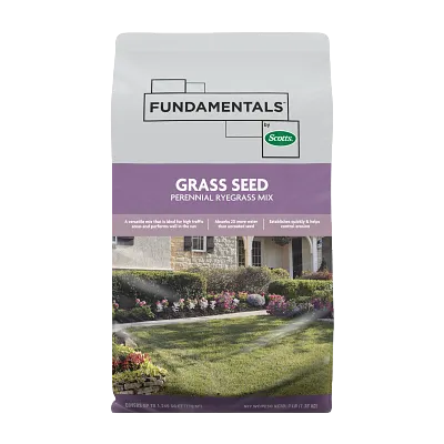 Fundamentals&trade; by Scotts&reg; Grass Seed Perennial Ryegrass Mix