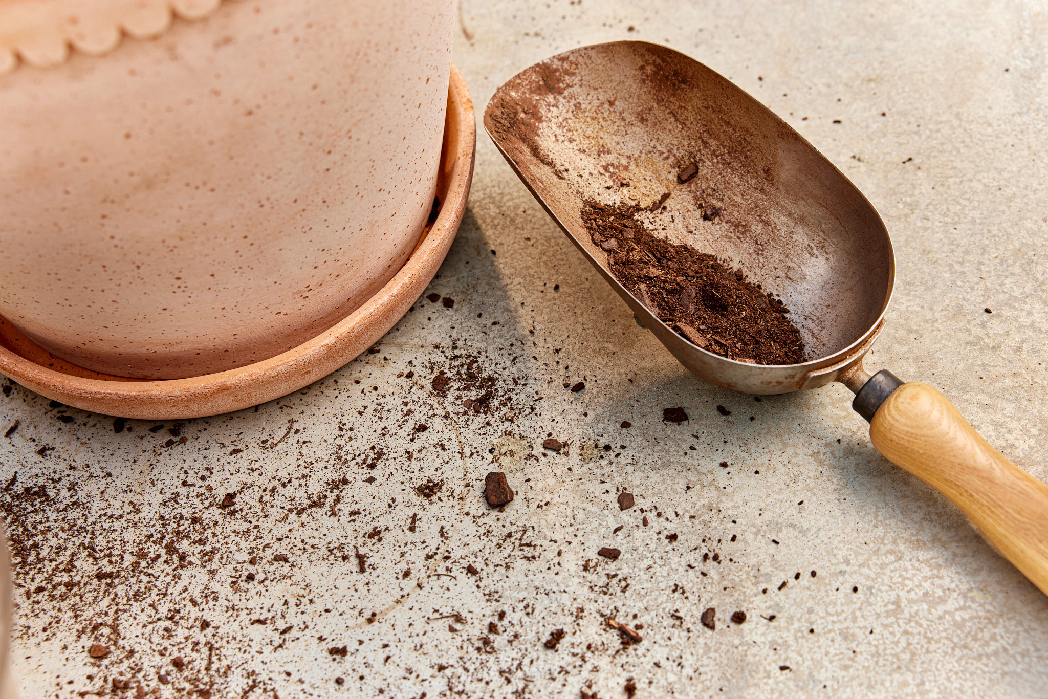 A terracotta pot and saucer are visible on the left, and a metal hand trowel with a wooden handle, containing some soil, is on the right. Loose soil is scattered across the gray surface.