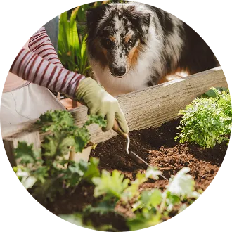 Organic Gardening