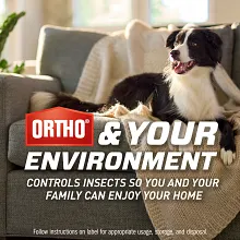 Ortho Home Defense Max Indoor Flying Insect Trap image number null