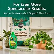 Miracle-Gro Organic&trade; Indoor Potting Mix image number null