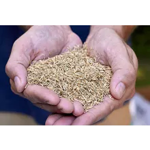 Scotts&reg; Turf Builder&reg; semence de gazon melange tout usage image number null
