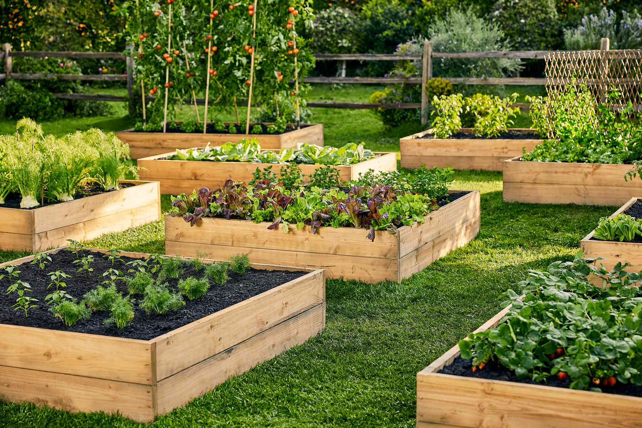 How to Create a Raised Bed Garden Plan