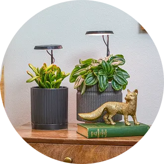 Grow Lights