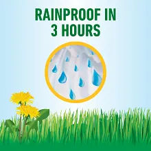 Roundup&reg; For Lawns₃ image number null