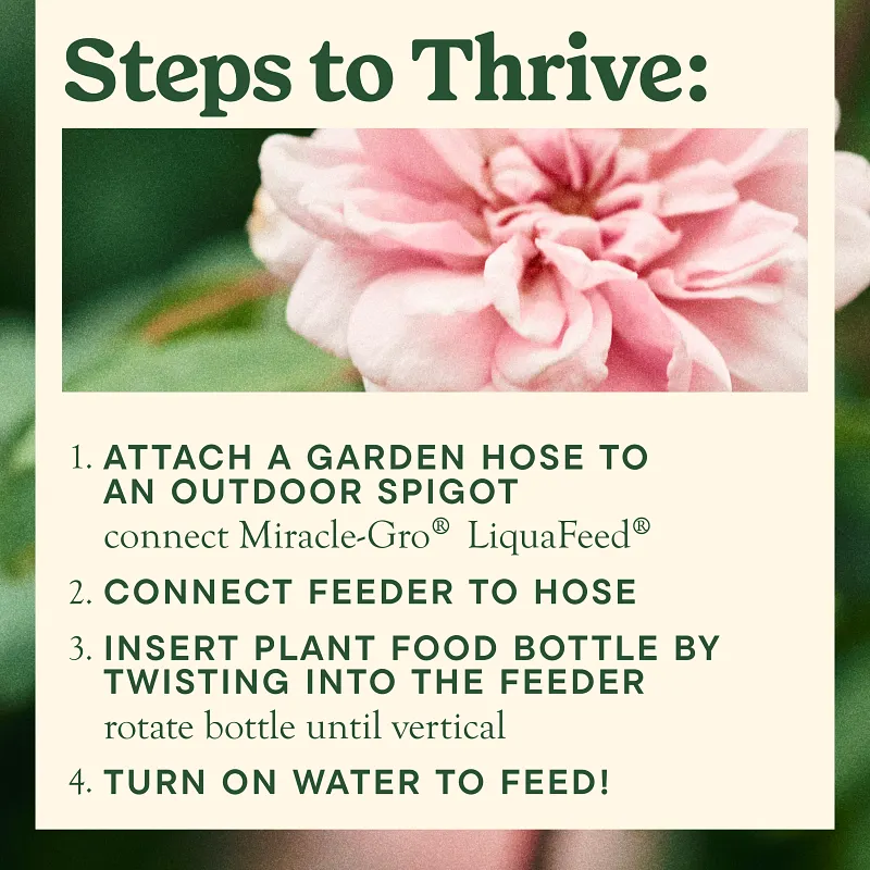 Miracle-Gro&reg; LiquaFeed&reg; All Purpose Plant Food image number 5.0